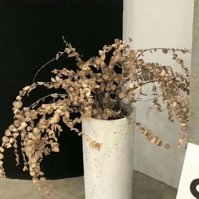 兽设毛发绘画实用教程福瑞交流群